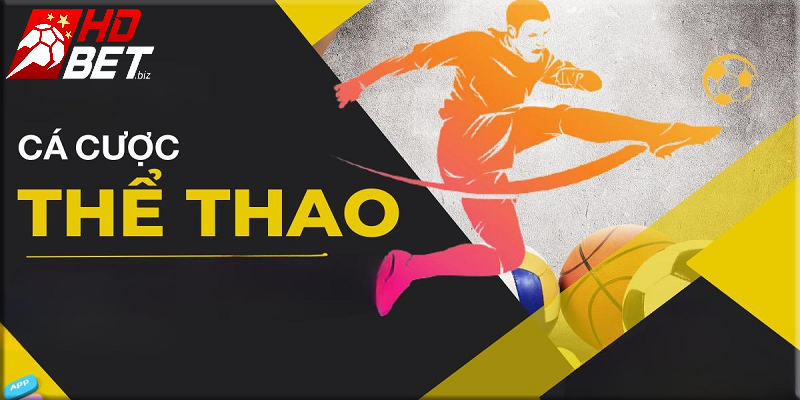 Đánh giá những ưu điểm khi tham gia cá cược thể thao tại nhà cái