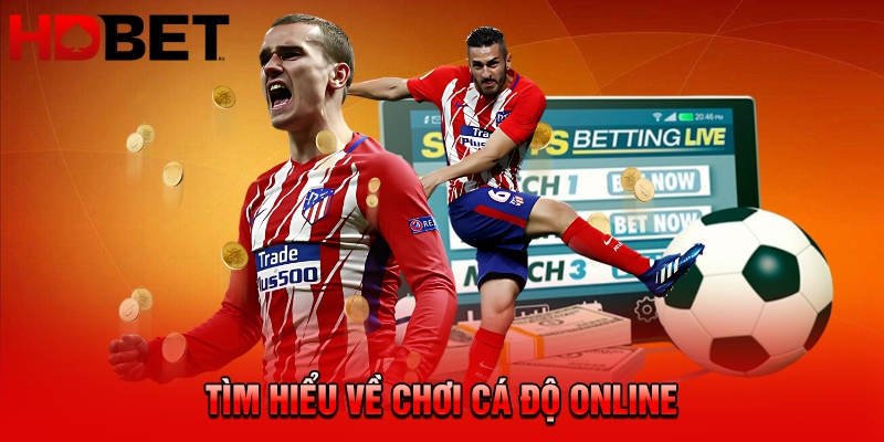 Tìm hiểu về chơi cá độ online